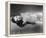 Ella Raines-null-Framed Stretched Canvas