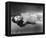 Ella Raines-null-Framed Stretched Canvas