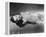 Ella Raines-null-Framed Stretched Canvas