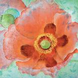 Sheer Poppy Love 2-Elle Summers-Framed Art Print