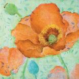 Sheer Poppy Love 1-Elle Summers-Framed Art Print
