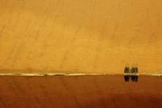 Aerial View of Sand Dunes, Great Red Sand Dunes, Soussevlei, Namibia-Ellen Anon-Framed Photographic Print