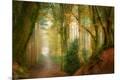 Photographic Print
