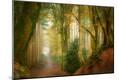 Photographic Print