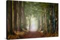 Stretched Canvas Print