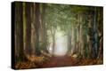Stretched Canvas Print