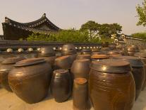 Traditional Korean House, Namsangol Hanok Village, Seoul, South Korea-Ellen Clark-Photographic Print