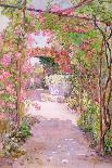 A Rose Arbour and Old Well, Venice-Ellen Fradgley-Giclee Print