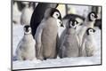 Premium Photographic Print