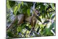 Premium Photographic Print
