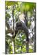 Premium Photographic Print
