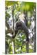 Premium Photographic Print