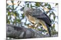 Premium Photographic Print