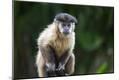 Premium Photographic Print