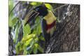 Premium Photographic Print