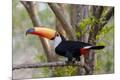 Premium Photographic Print
