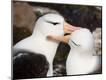 Premium Photographic Print