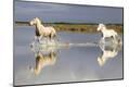 Premium Photographic Print