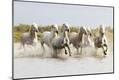 Premium Photographic Print