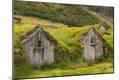 Premium Photographic Print
