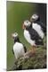 Premium Photographic Print