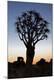 Premium Photographic Print
