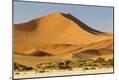 Premium Photographic Print