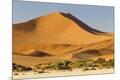 Premium Photographic Print