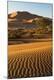 Premium Photographic Print