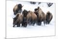 Premium Photographic Print