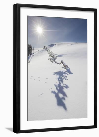 Photographic Print, , large