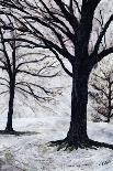 Winter Trees, Greenwich Park, 2004-Ellen Golla-Giclee Print