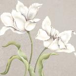 Soft Tulip II-Ellen Hudson-Giclee Print