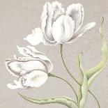 Soft Tulip II-Ellen Hudson-Framed Art Print