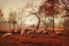 Last Days of Autumn-Ellen van Deelen-Framed Photographic Print