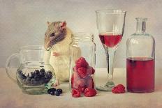 Snoozy Loves to Eat-Ellen Van Deelen-Photographic Print