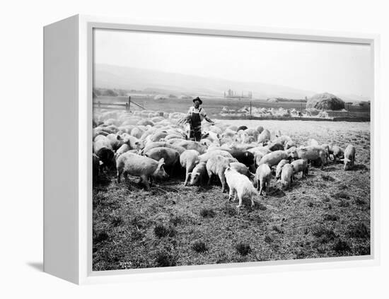 Ellensburg, WA, Goodwin Hogs, 1915-Asahel Curtis-Framed Premier Image Canvas