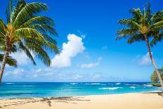 Coconut Palm Tree on the Sandy Beach in Hawaii, Kauai-EllenSmile-Framed Photographic Print