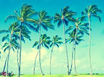 Tropical Palm Trees on the Miami Beach near the Ocean, Florida, Usa, Retro Styled-EllenSmile-Photographic Print