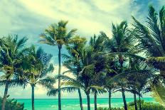 Tropical Palm Trees on the Miami Beach near the Ocean, Florida, Usa, Retro Styled-EllenSmile-Framed Photographic Print