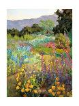 Vineyards to Mount St. Helena-Ellie Freudenstein-Art Print