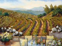 Vineyards to Vaca Mountains-Ellie Freudenstein-Premium Giclee Print