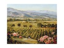 Vineyards to Vaca Mountains-Ellie Freudenstein-Art Print