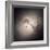 Elliptical Galaxy NGC 1316, HST Image-null-Framed Premium Photographic Print