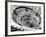 Elliptical Staircase in the Supreme Court Building-Margaret Bourke-White-Framed Photographic Print