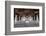 Ellora Caves near Aurangabad, Maharashtra State in India-saiko3p-Framed Photographic Print