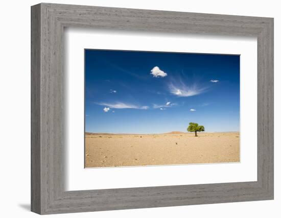 Elm Tree (Ulmus) in Gobi Desert, South Mongolia-Inaki Relanzon-Framed Photographic Print