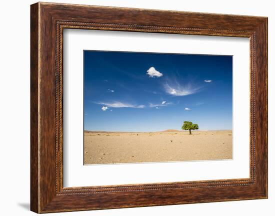 Elm Tree (Ulmus) in Gobi Desert, South Mongolia-Inaki Relanzon-Framed Photographic Print