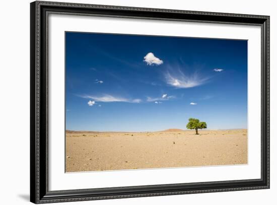 Elm Tree (Ulmus) in Gobi Desert, South Mongolia-Inaki Relanzon-Framed Photographic Print