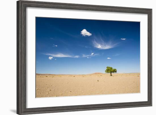 Elm Tree (Ulmus) in Gobi Desert, South Mongolia-Inaki Relanzon-Framed Photographic Print